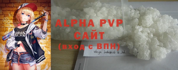 индика Волоколамск