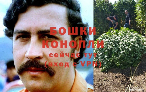 ALPHA PVP Вяземский