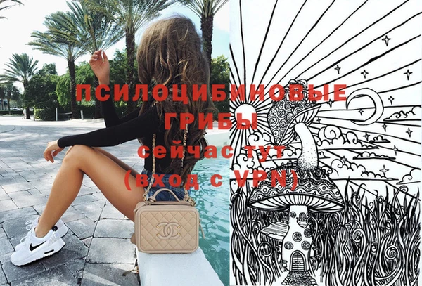 гидра Вязники