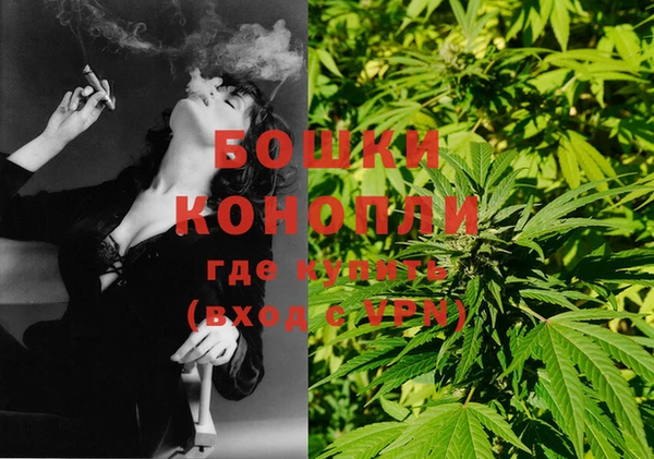 гидра Вязники