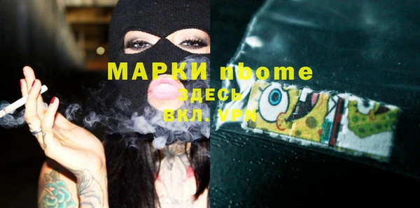 индика Волоколамск